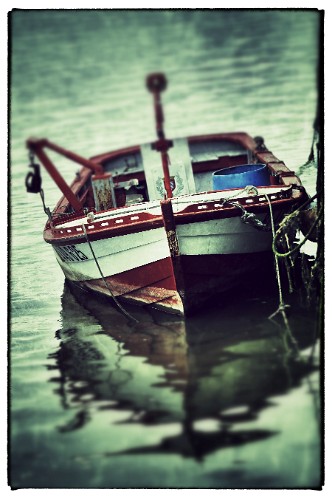 KNE310520140504_Snapseed