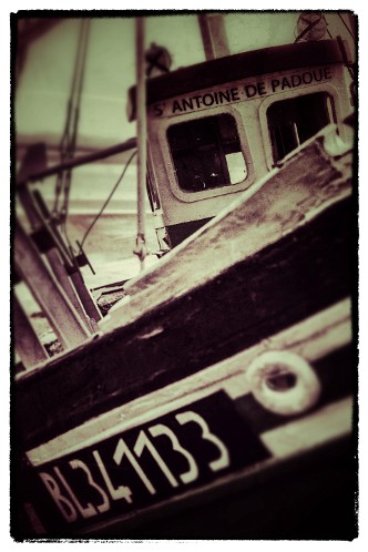 KNE310520140883_Snapseed